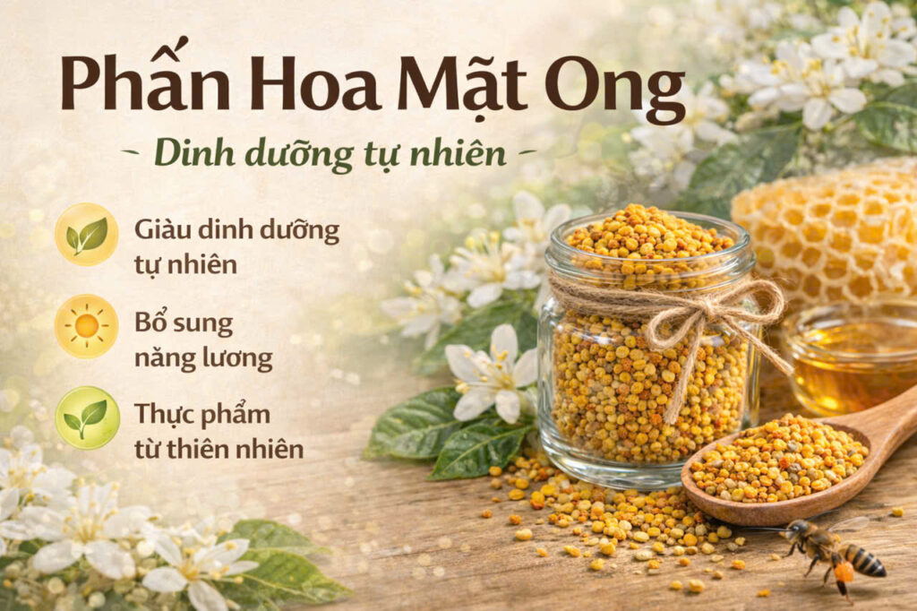 Phấn Hoa là gì? Lợi ích của phấn hoa mật ong ?