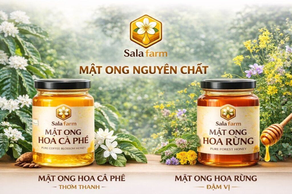 Mật ong rừng Mật ong hoa cafe